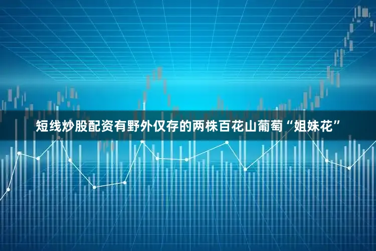 短线炒股配资有野外仅存的两株百花山葡萄“姐妹花”